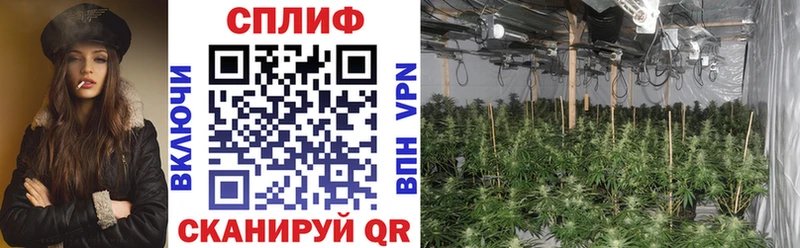 hydra сайт Дно Канабис гибрид